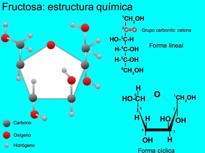 la fructosa