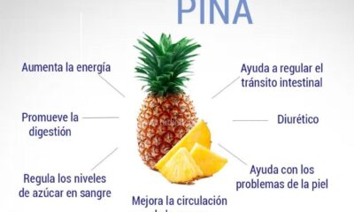 la pina