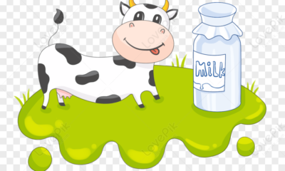 leche vaca