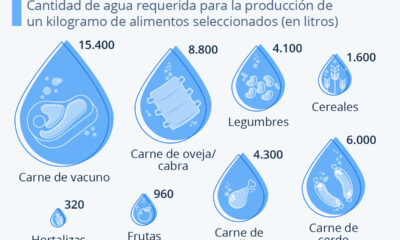 litros agua