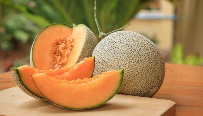 melon fruta