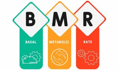 metabolismo basal