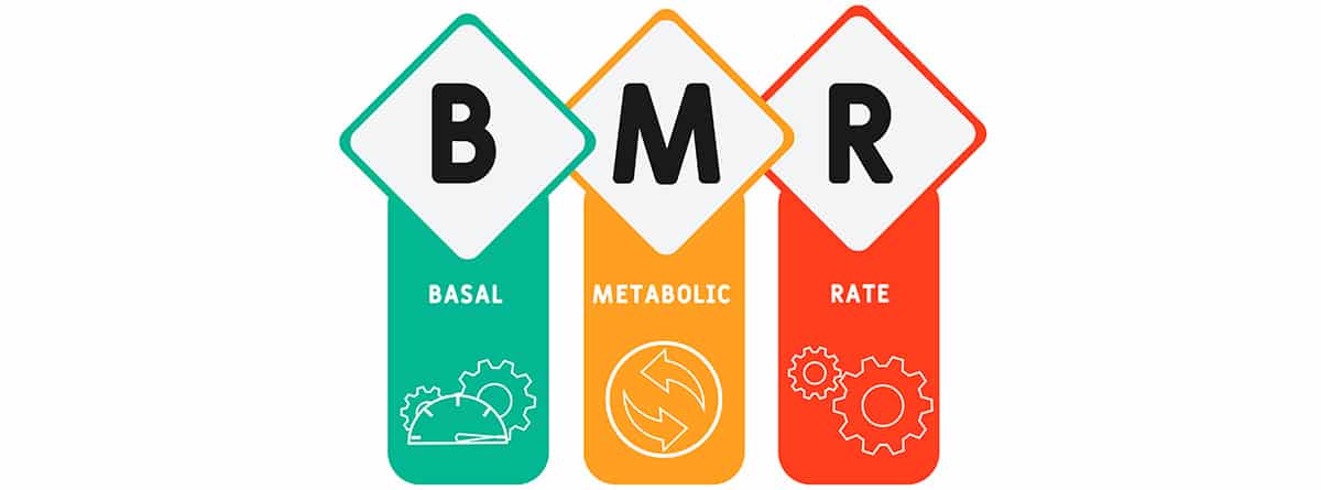 metabolismo basal