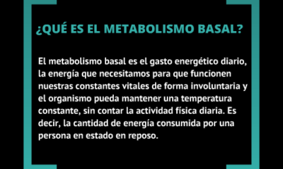 metabolismo basal