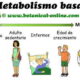 metabolismo basal