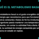 metabolismo basal