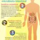 microbiota intestinal