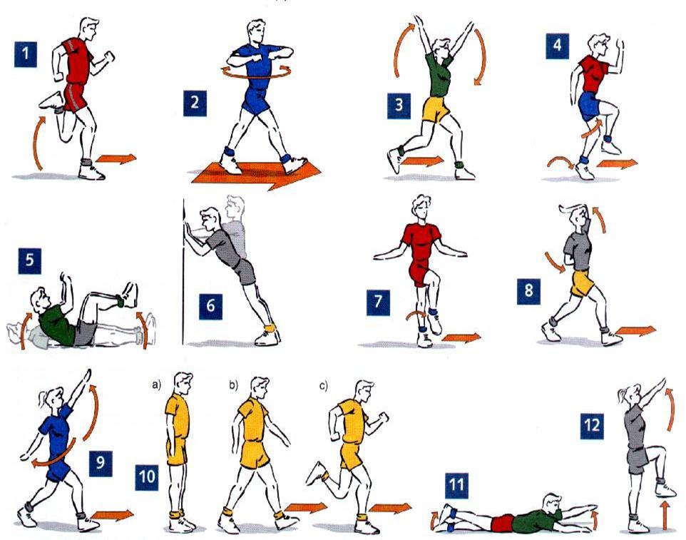 movilidad articular