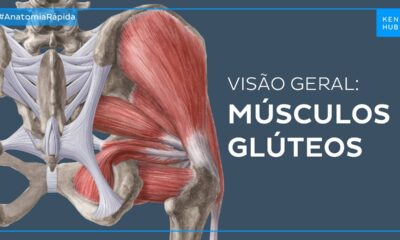 musculos gluteos