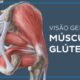 musculos gluteos