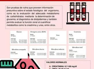 niveles creatinina