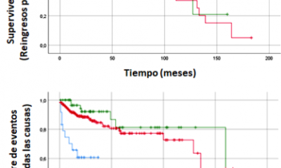 niveles potasio