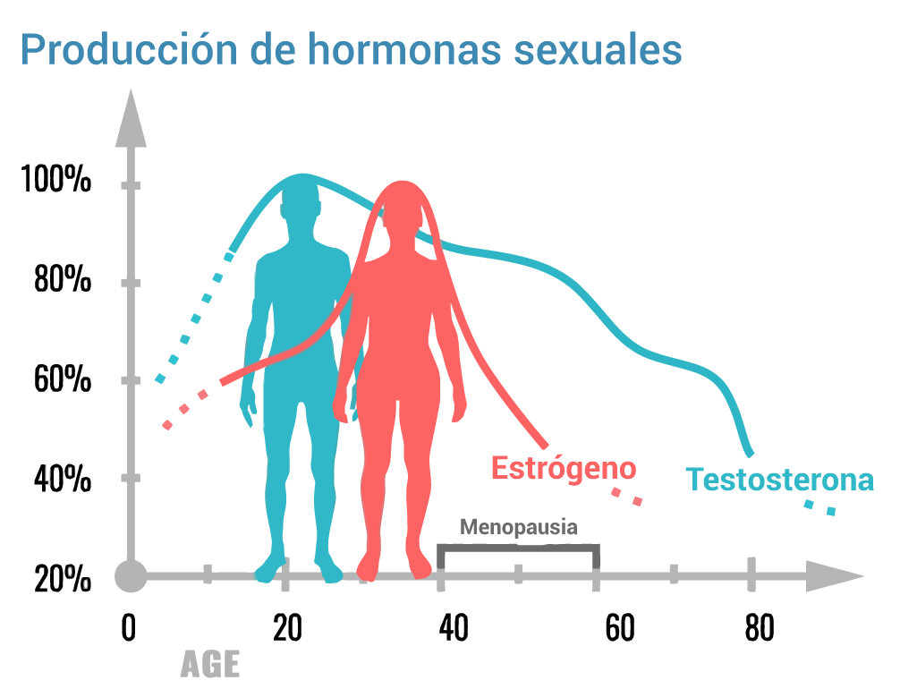 niveles testosterona