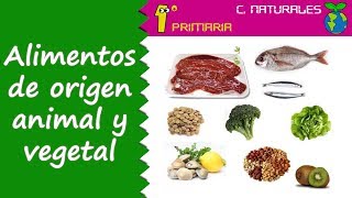 origen animal