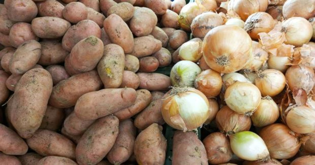 patatas cebolla