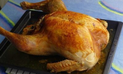 pavo horno