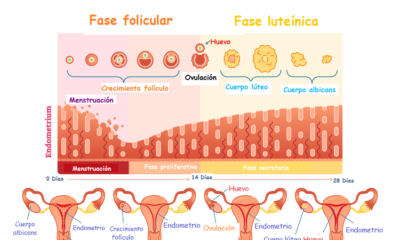 periodo menstrual