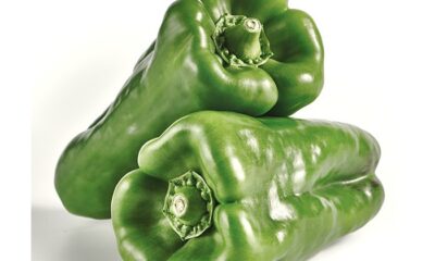 pimiento verde