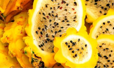 pitahaya fruta