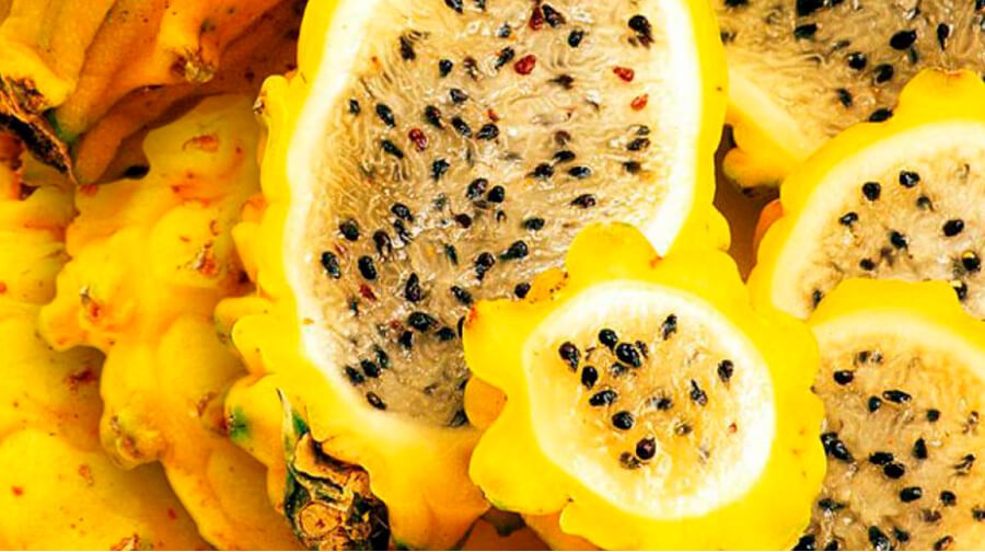 pitahaya fruta