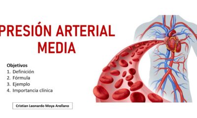 presion arterial