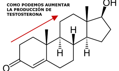 produccion testosterona