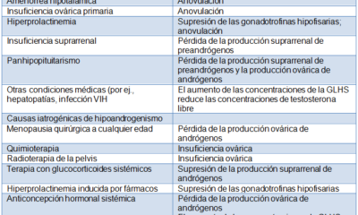 produccion testosterona