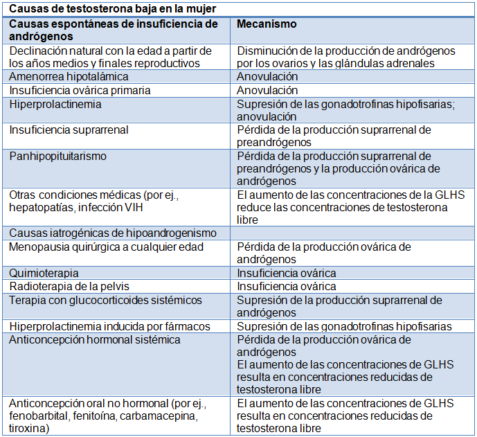 produccion testosterona