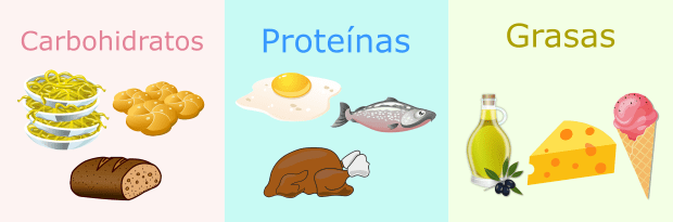 proteinas carbohidratos