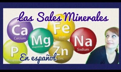 sales minerales