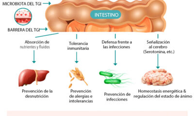 salud intestinal