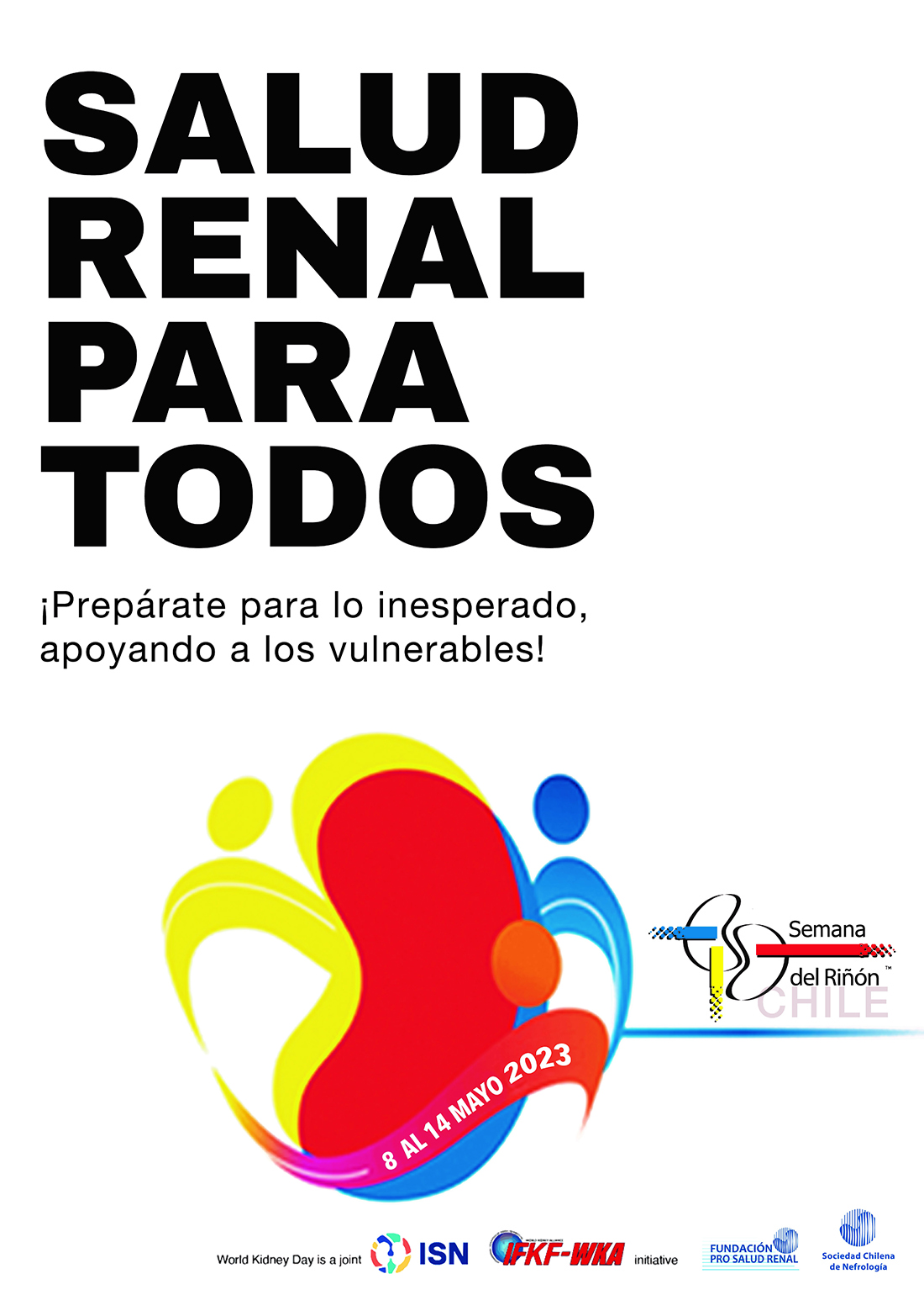 salud renal