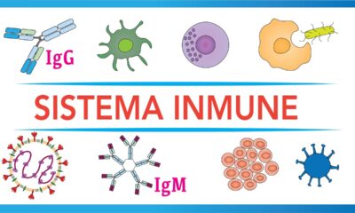 sistema inmunologico