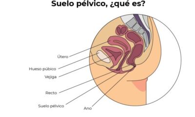 suelo pelvico