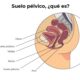 suelo pelvico