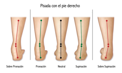 tipo pisada