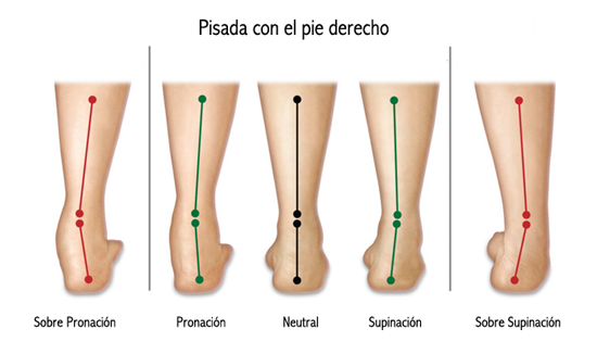 tipo pisada