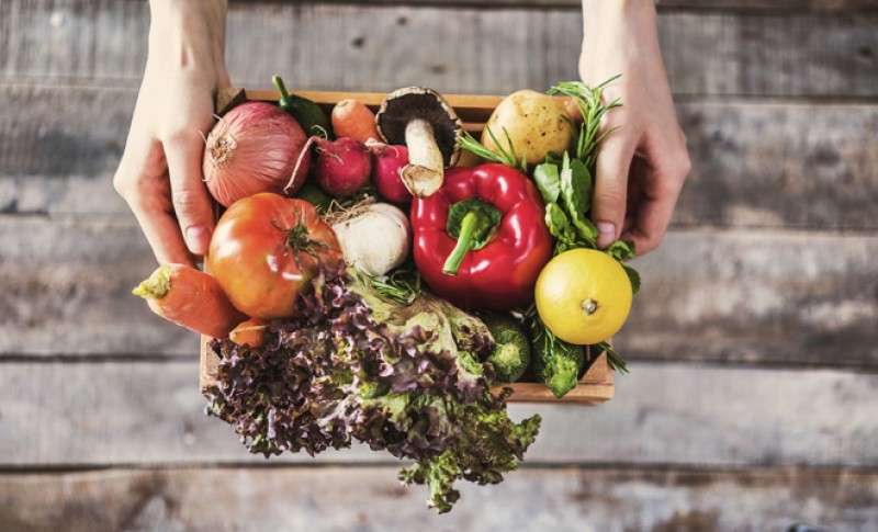 verduras hortalizas