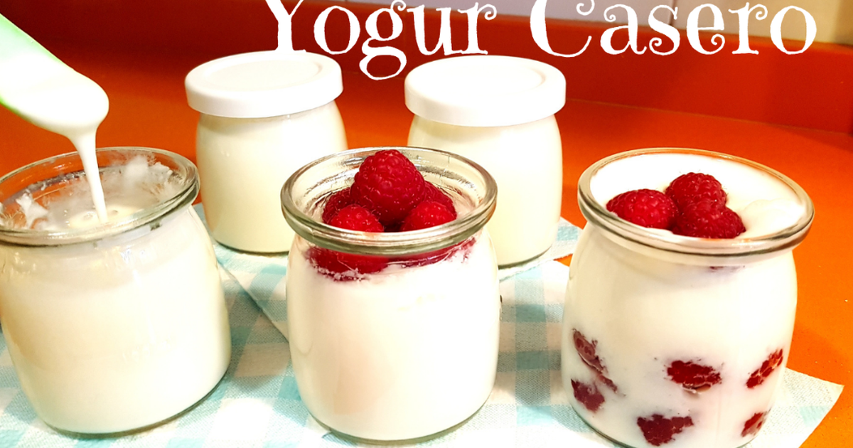 yogurt casero