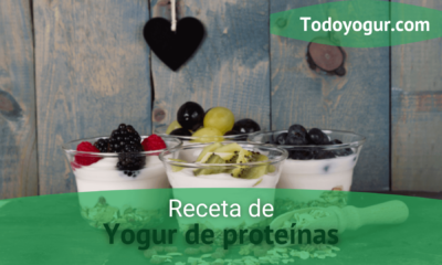 yogurt proteinas